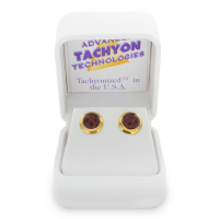 Tachyon Framed 8mm Stud Earrings in 14 kt. Gold